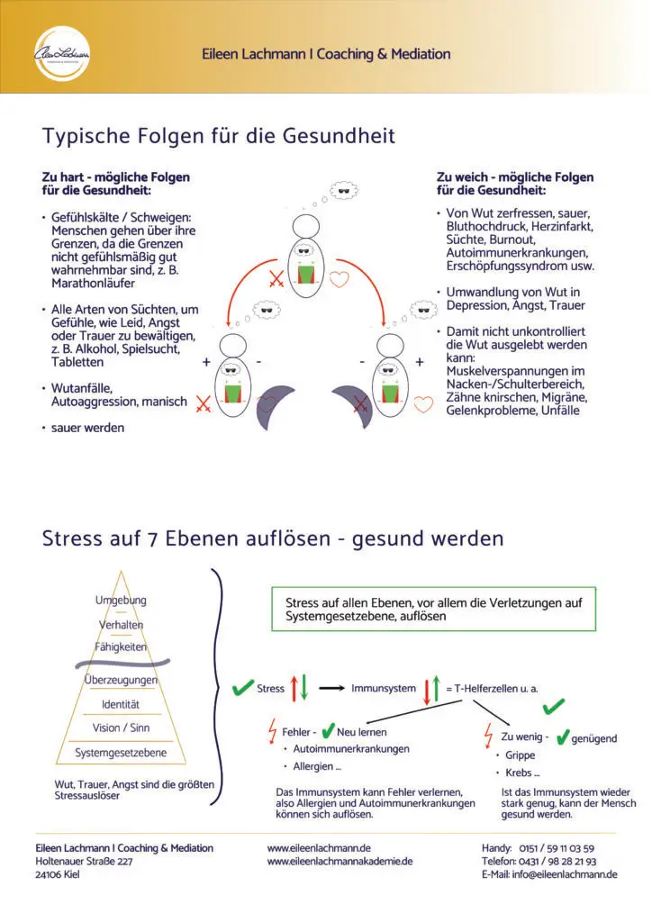 SystemEmpowering, Gesundheit und Stress, Eileen Lachmann, Coaching Kiel